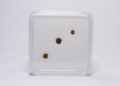 Montecellit - Somma-Vesuv, Itálie